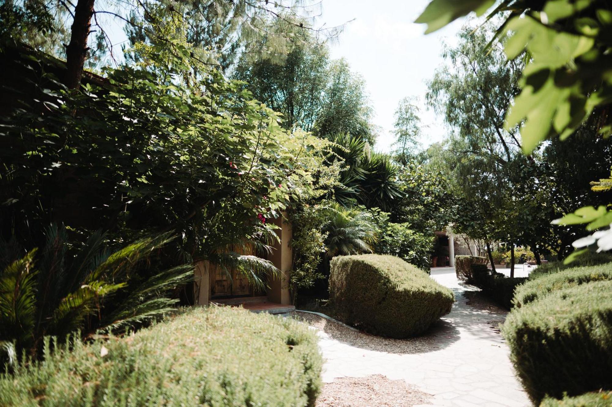 Maria & Bernardo Casa - Vinedo Bed & Breakfast El Coyote Exterior photo