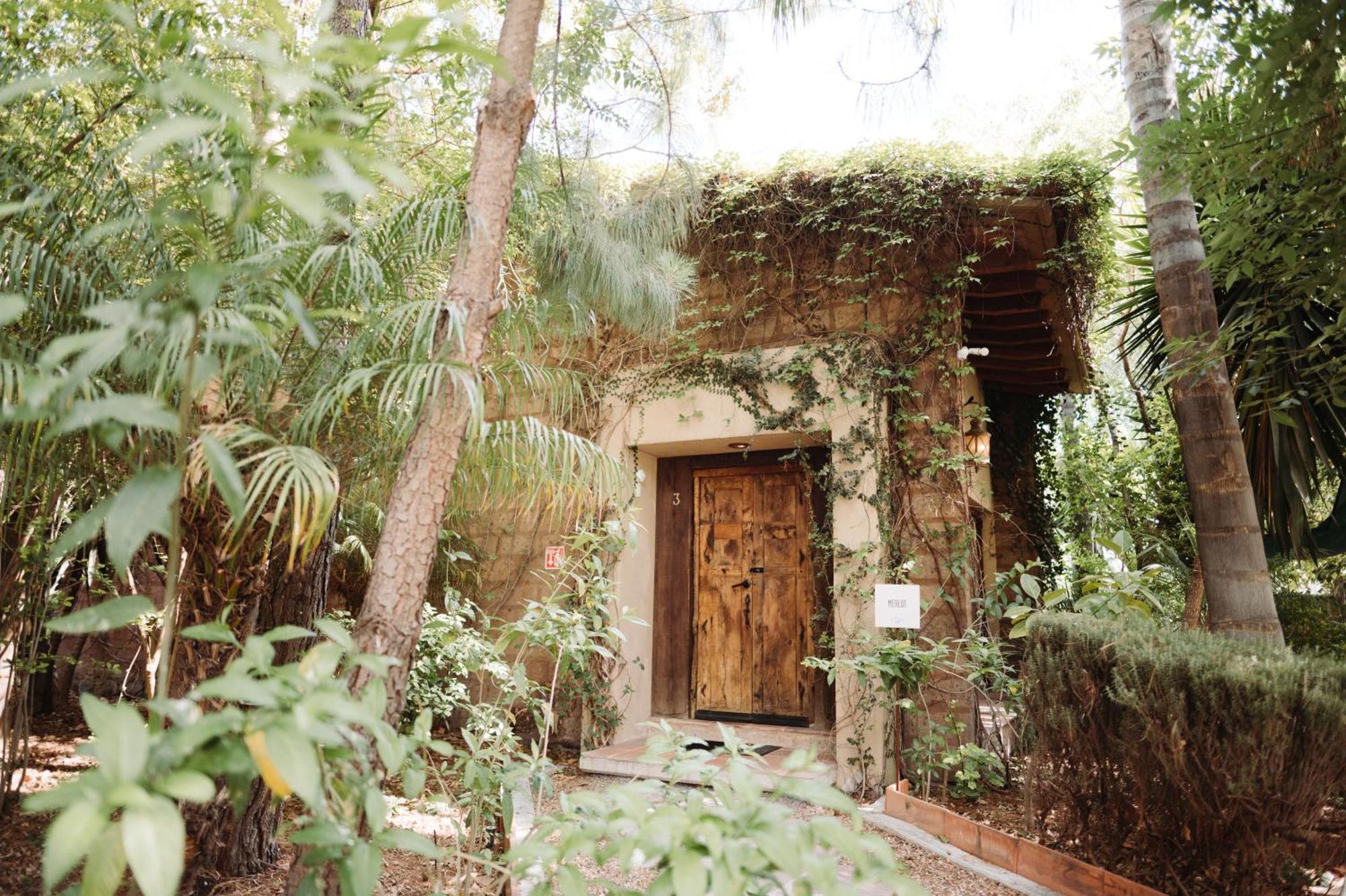 Maria & Bernardo Casa - Vinedo Bed & Breakfast El Coyote Exterior photo