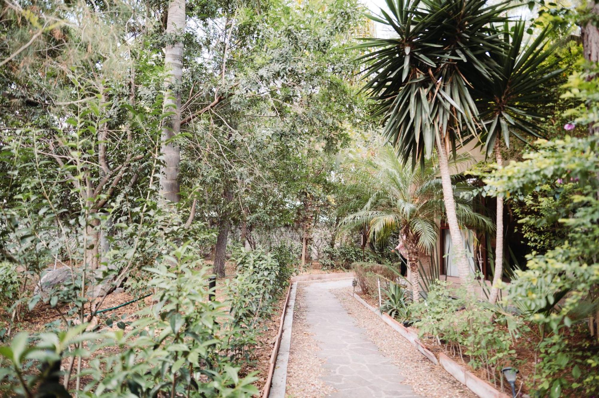 Maria & Bernardo Casa - Vinedo Bed & Breakfast El Coyote Exterior photo